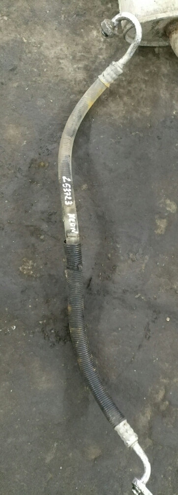 21562_0.jpg